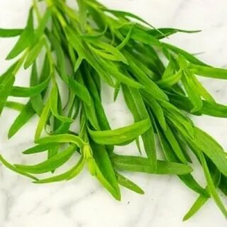 تصویر 5 از قیمت باورنکردنی سبزی ترخون خشک + فروش عمده